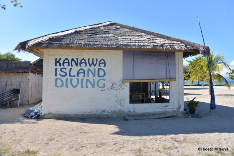 Kanawa island diving