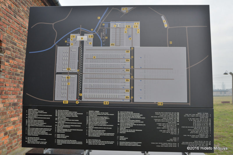 ビルケナウ第二強制収容所の配置図